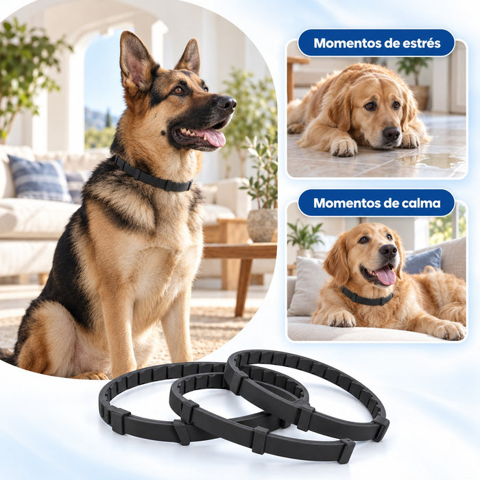 Dog Calming Collars (3-Pack)