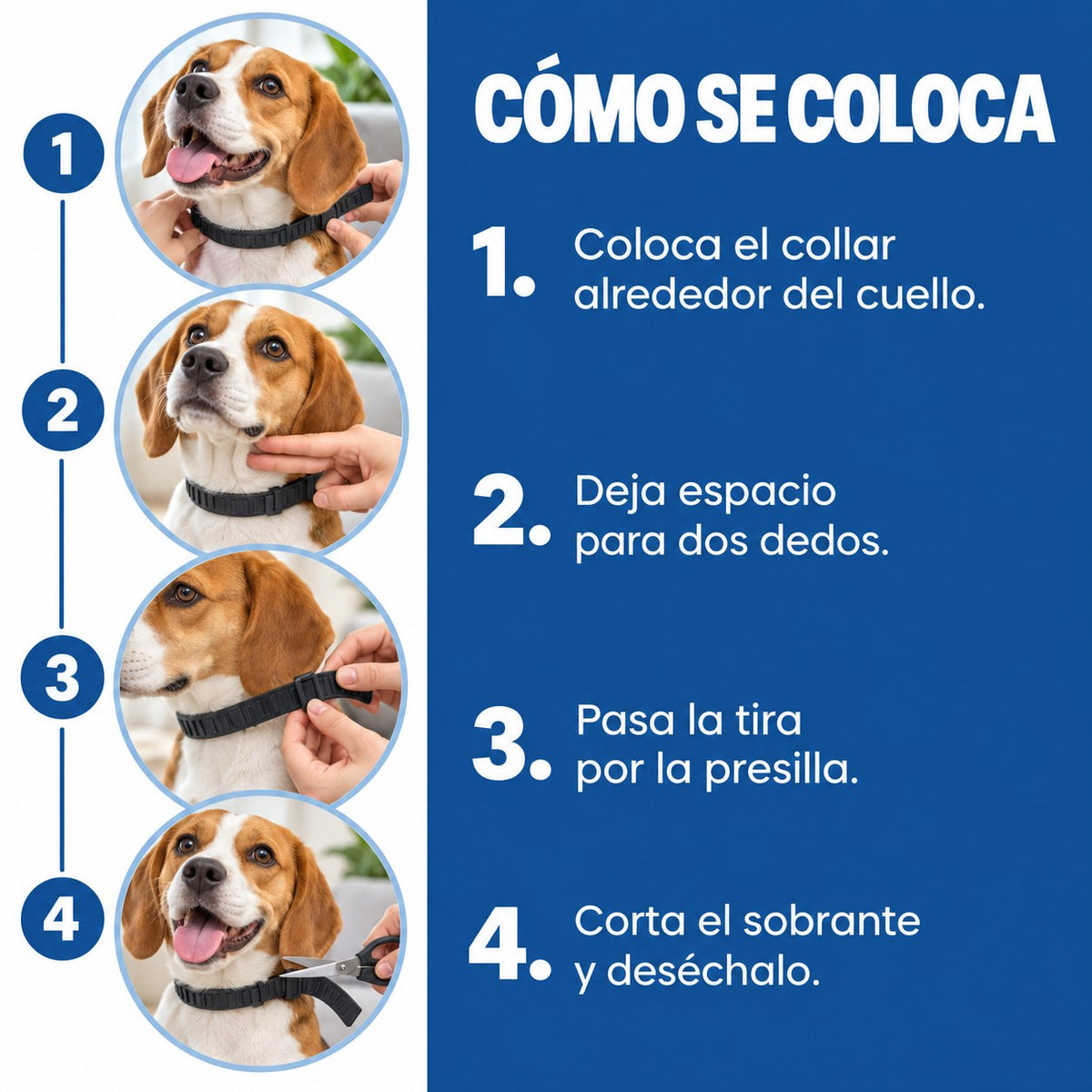 Cómo colocar el collar calmante para perros