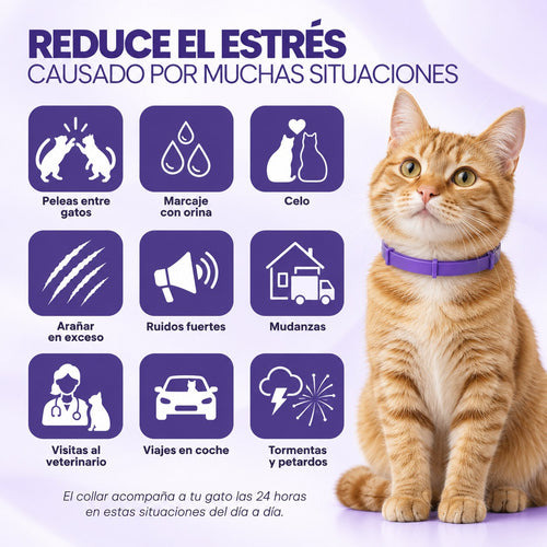 Collar calmante para gatos (paquete de 2)