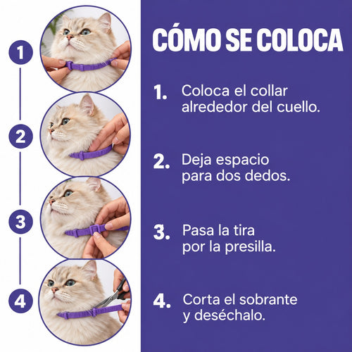 Collar calmante para gatos (paquete de 2)