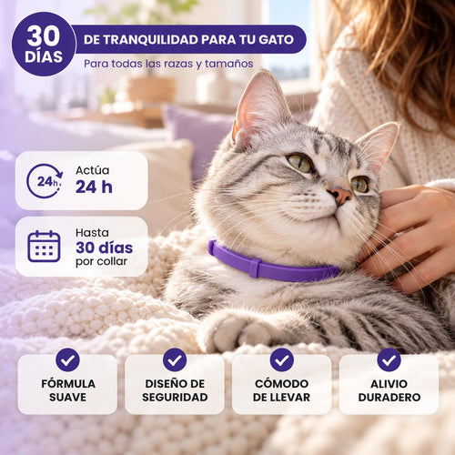 Collar calmante para gatos (paquete de 2)